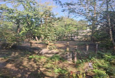 زمین مسکونی ۲۰۰ متر دارای جواز کتالم خیابان طهانی