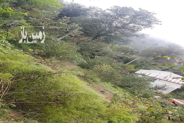 زمین ۲۰۰۰ متر در روستای جیرکل-1