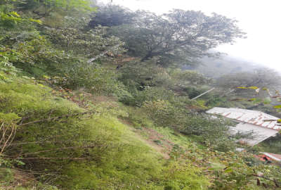 زمین ۲۰۰۰ متر در روستای جیرکل