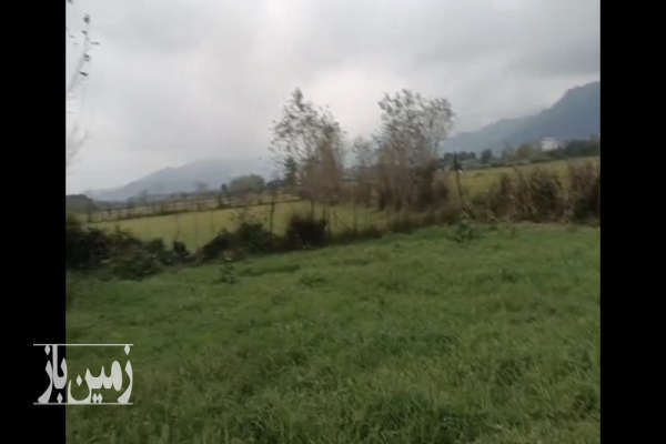 زمین در منطقه فومن ۲۵۰ متر فروش فوری-2