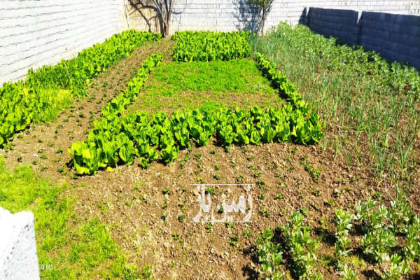 فروش فوری خانه سرا ۲۳۵ متر در کیاکلا-2