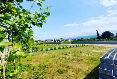 زمین کشاورزی در روستای رودپشت شهرک عباسی ۳۰۰۰ متر