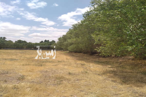 زمین در روستای کرگان بستان آباد ۱۵۰۰ متر-1