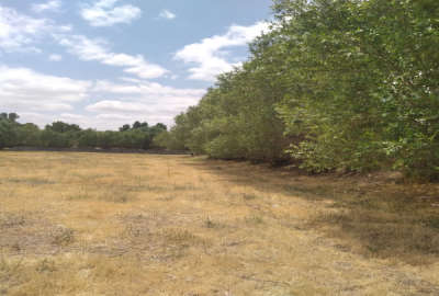 زمین در روستای کرگان بستان آباد ۱۵۰۰ متر