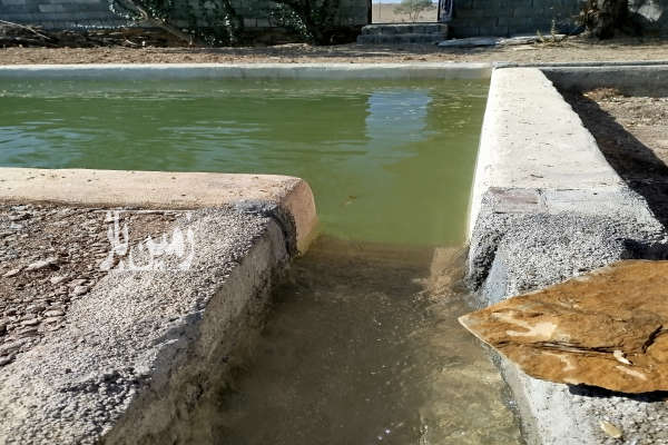 باغ در شهر علویجه روستای تاریخی هسنیجه ۱۶۲۵ متر-1