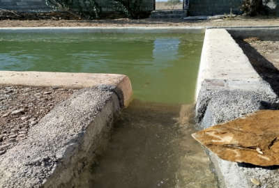 باغ در شهر علویجه روستای تاریخی هسنیجه ۱۶۲۵ متر