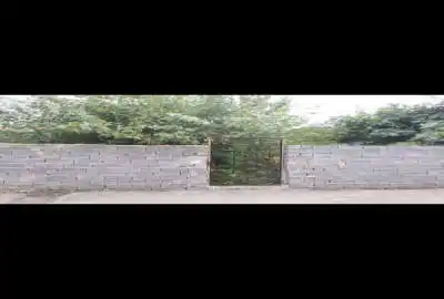 زمین در ۲۲بهمن تک برگ سند ۶۰۰ متر