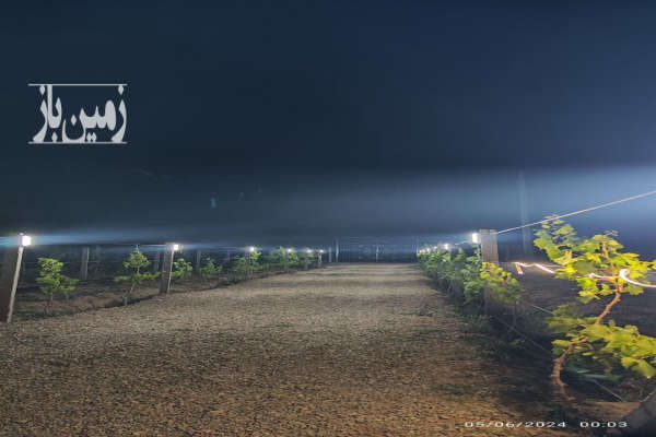 خونه باغ ۵۰۰۰ متر در شهرستان تاکستان سند تک برگ-3