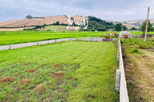 زمین مسکونی ۵۰۰متری نکا روستای پایین زرندین-2