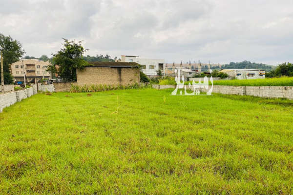 زمین مسکونی ۵۰۰متری نکا روستای پایین زرندین-3