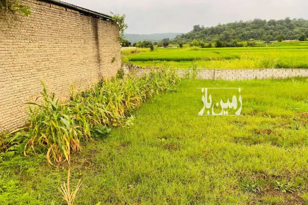 زمین مسکونی ۵۰۰متری نکا روستای پایین زرندین - تصویر 4