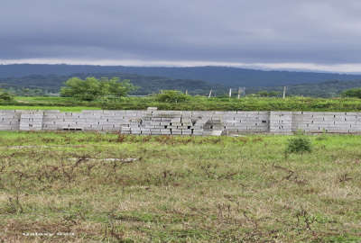 زمین شهرکی قابل ساخت ۱۵۰ متر جنگلی روستای علی آباد