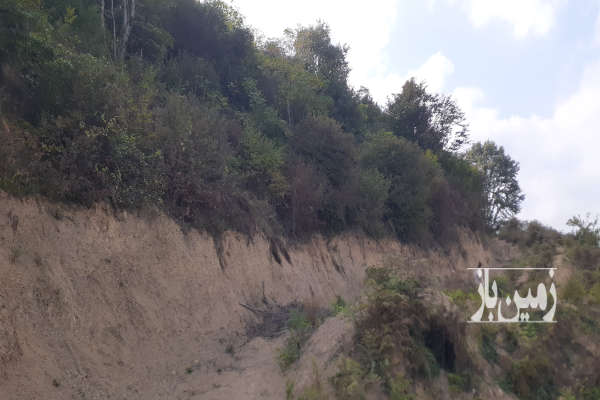 زمین باغی زراعی مستسنیات روستایی ۲۷۰۳ متر-1