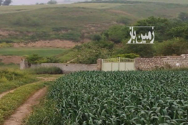 باغ ۸۰۰۰ متر دربافت شهر صادق آباد روبرو آبشار لوه-1