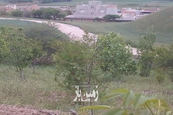 باغ ۸۰۰۰ متر دربافت شهر صادق آباد روبرو آبشار لوه-2