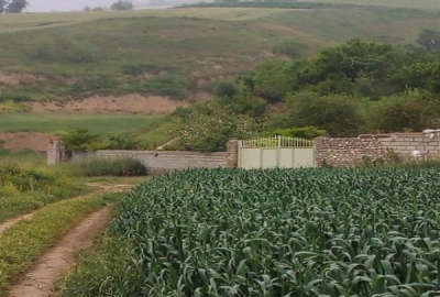 باغ ۸۰۰۰ متر دربافت شهر صادق آباد روبرو آبشار لوه