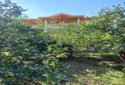 زمین با مجوز مسکونی واقع در روستای کلیج خیل ۵۲۹ متر