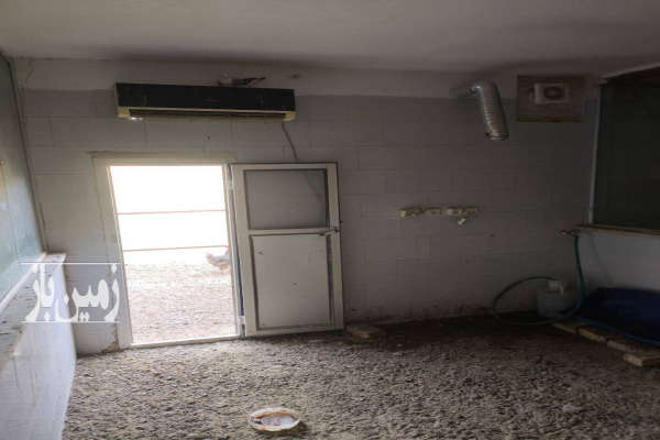 زمین پرورش دامداری آماده به کار در ابوزیدآباد ۶۰۰۰ متر-4