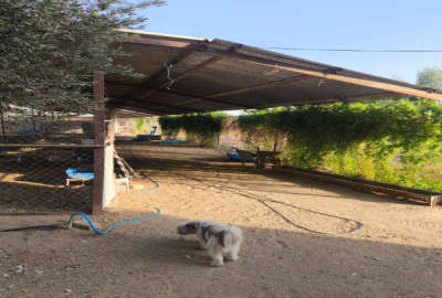 زمین پرورش دامداری آماده به کار در ابوزیدآباد ۶۰۰۰ متر