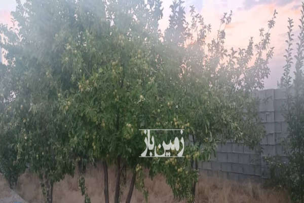 باغ شهری ۱۰۰۰متری دارلین سپیدان مجموعه مینو-1