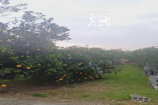 زمین بابلکنار مرزیکلا پشت پاساژ حاجی تبار ۱۰۰۰ متر-1