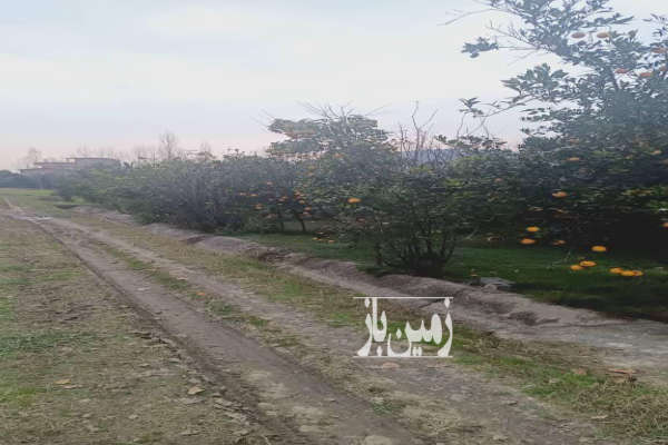 زمین بابلکنار مرزیکلا پشت پاساژ حاجی تبار ۱۰۰۰ متر-2