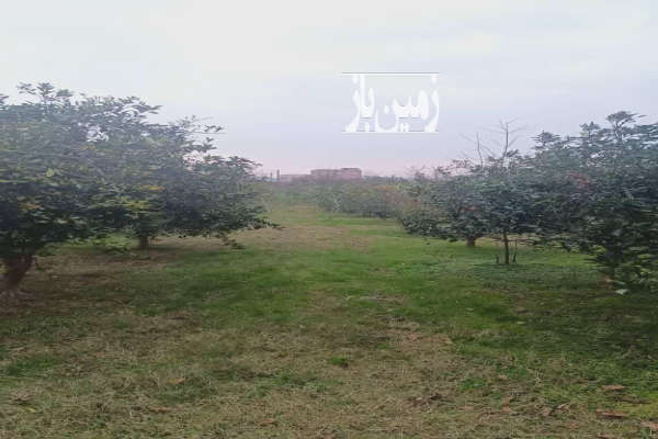 زمین بابلکنار مرزیکلا پشت پاساژ حاجی تبار ۱۰۰۰ متر-3