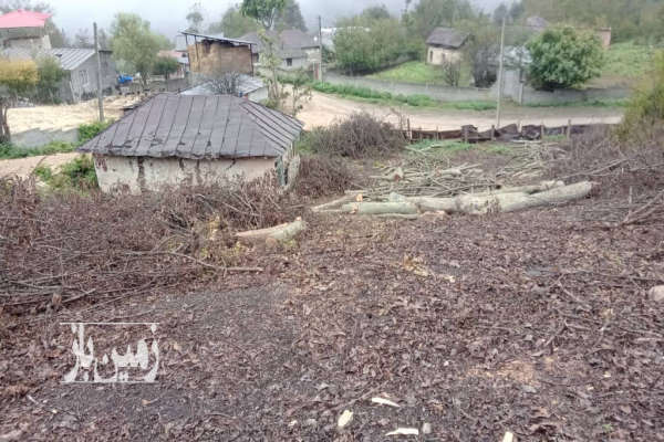 زمین خونه سرا ۱۴۷۰ متر در روستای ورکی-3