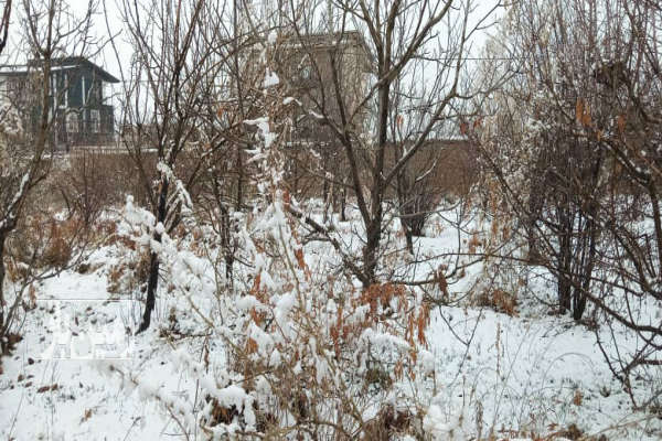 زمین ۷۵۰ متر مسکونی شهر زیاران طالقان-2