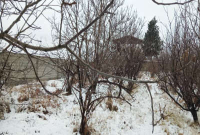 زمین ۷۵۰ متر مسکونی شهر زیاران طالقان