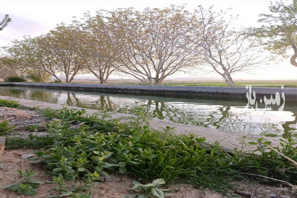 باغ انگور و زمین خنداب روستای غینرجه ۲۵۰۰۰ متر-3