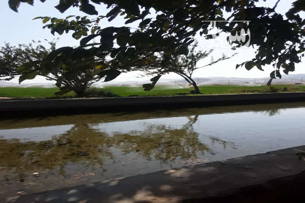 باغ انگور و زمین خنداب روستای غینرجه ۲۵۰۰۰ متر-4