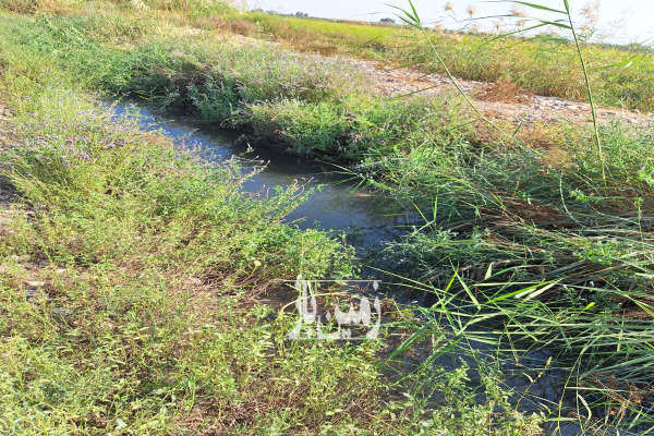 زمین مناسب باغچه درکوچه باغ فدک ۱۲۰۰ متر-1