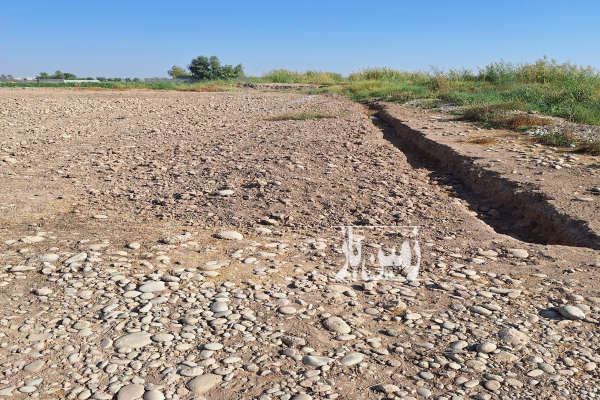 زمین مناسب باغچه درکوچه باغ فدک ۱۲۰۰ متر-2