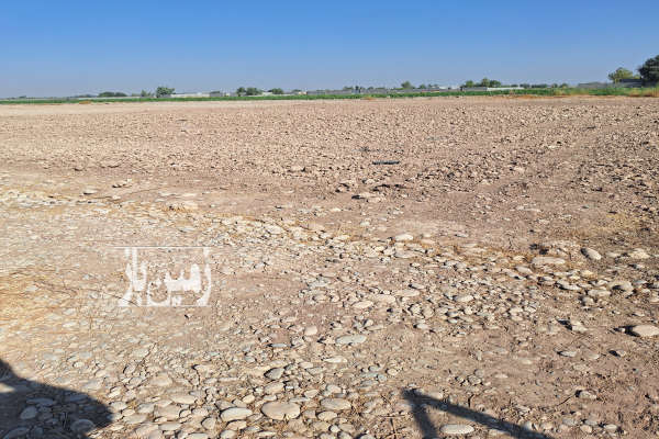 زمین مناسب باغچه درکوچه باغ فدک ۱۲۰۰ متر-3