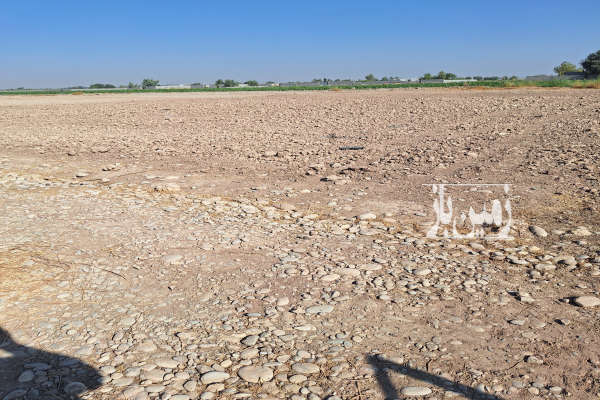 زمین مناسب باغچه درکوچه باغ فدک ۱۲۰۰ متر-4