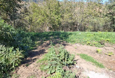 زمین مسکونی بهشهر محمدآباد ۱۶۱ متر