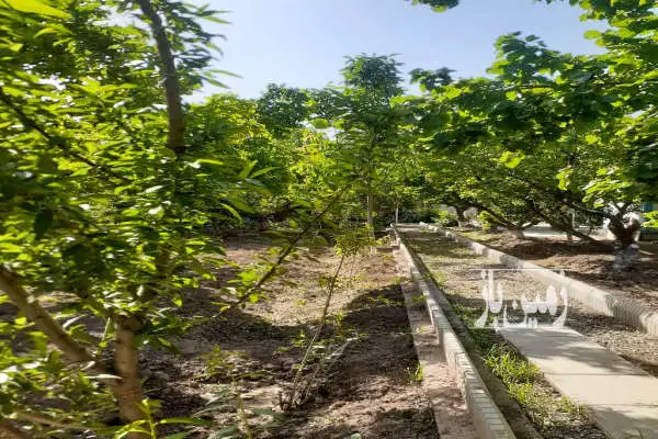 باغ ۱۰۰۰ متر شهرکی نظر آباد روستای قلعه آذری - تصویر 3