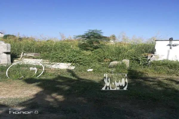 زمین ۳۹۴ متر در شیرودی همت اباد - تصویر 3