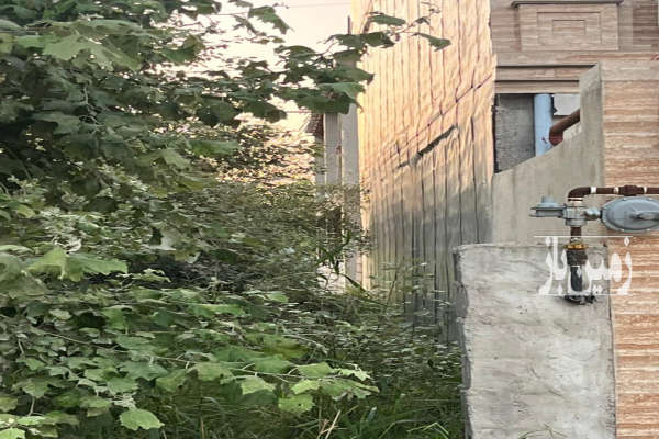 زمین مسکونی آستانه اشرفیه محله کورکا ۲۵۰ متر-3