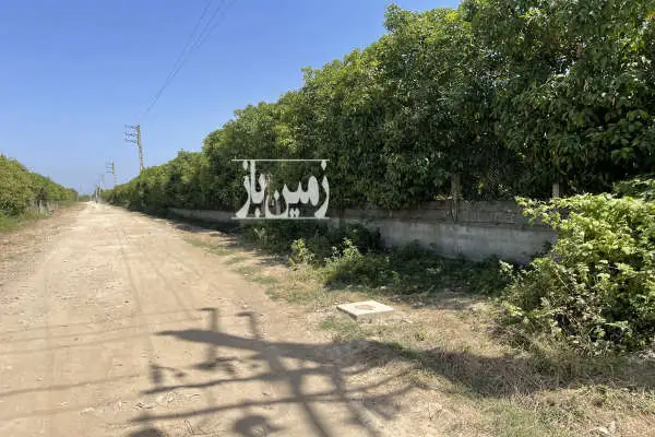باغ مرکبات به مساحت ۴ هکتار ساری جاده دریا - تصویر 3