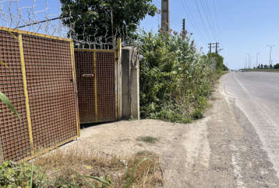 باغ مرکبات به مساحت ۴ هکتار ساری جاده دریا