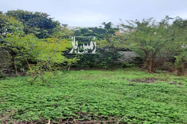 زمین شهری مسکونی رودسر خیابان فلسطین ۲۲۷ متر-1