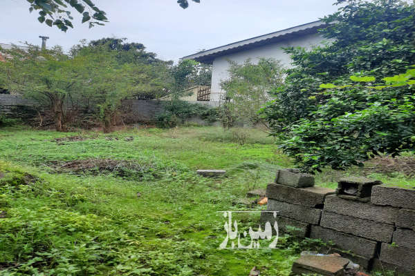 زمین شهری مسکونی رودسر خیابان فلسطین ۲۲۷ متر-3