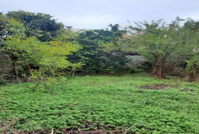 زمین شهری مسکونی رودسر خیابان فلسطین ۲۲۷ متر