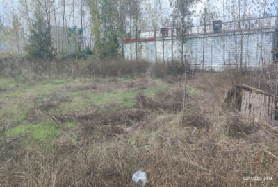 زمین مسکونی غازیان روبروی دهکده ساحلی ۳۰۰ متر