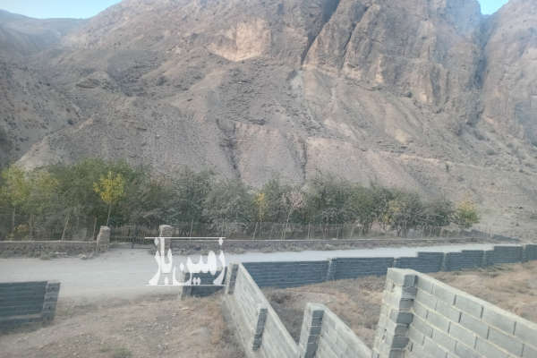 باغ آلبالو و گیلاس جاده هراز قبل نشل و اندوار ۱۲۴۸ متر-1