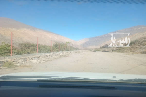 باغ آلبالو و گیلاس جاده هراز قبل نشل و اندوار ۱۲۴۸ متر-3