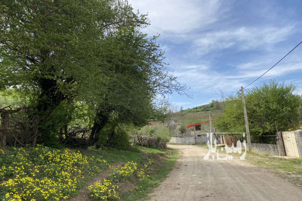 زمین ۶۰۰ متری داخل بافت بر اصلی الندان-2