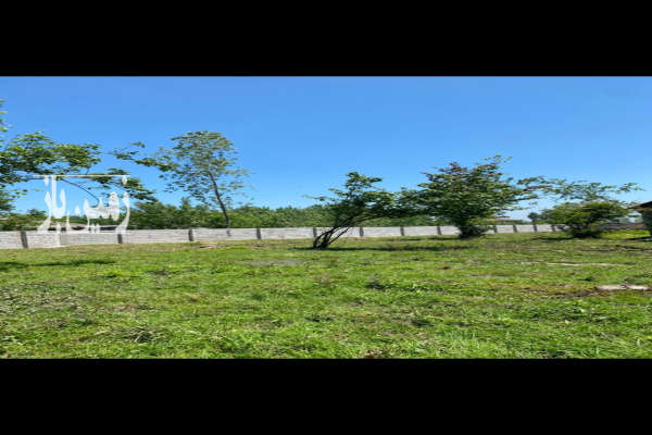 زمینی مسکونی با موقعیت مکانی عالی در رضوانشهر ۲۵۰ متر-2